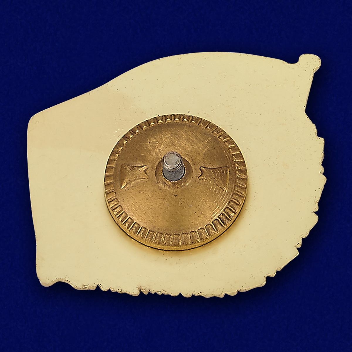 Знак ВКС "За боевое дежурство по ПВО" 