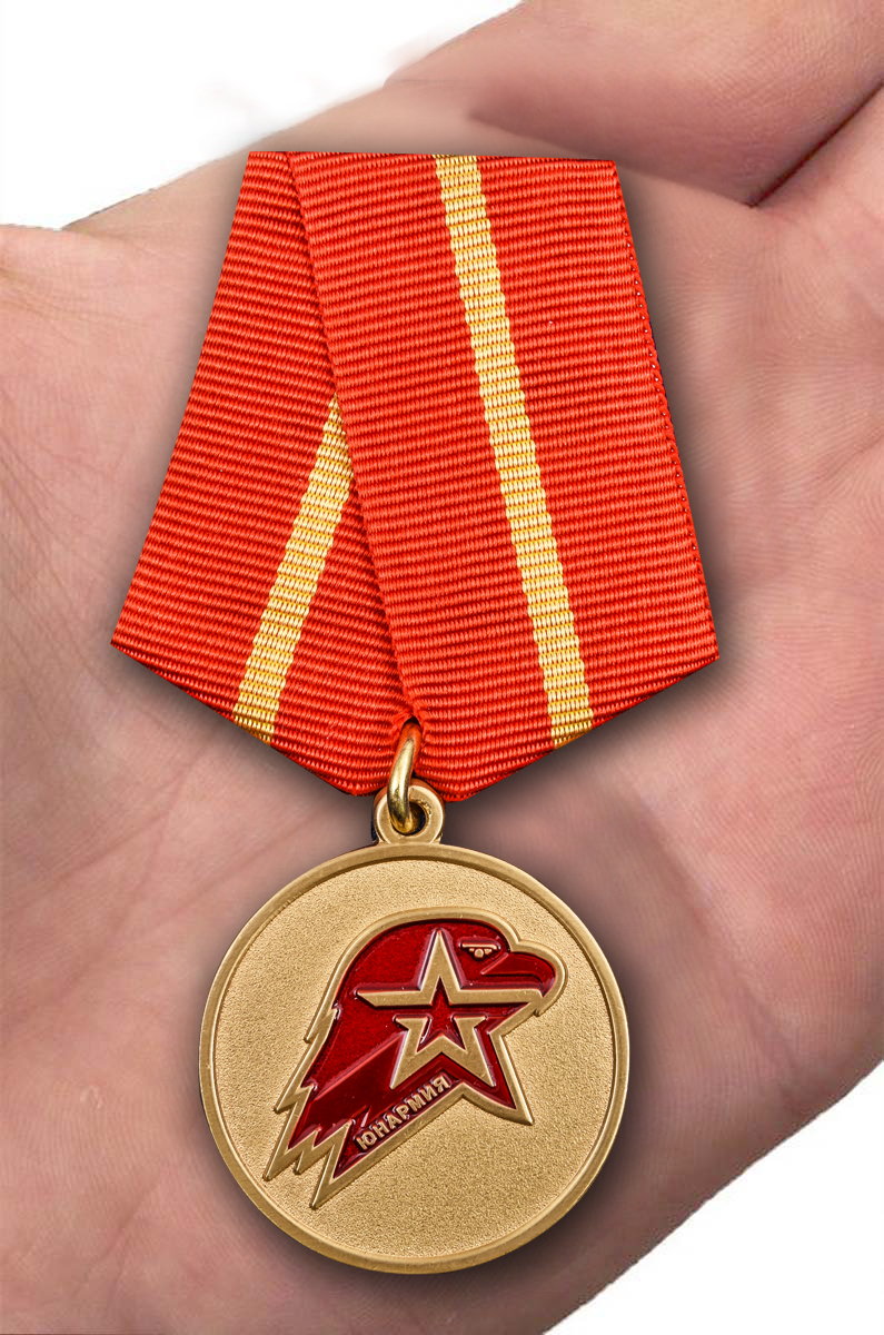 Медаль Юнармии 1 степени в футляре с удостоверением 