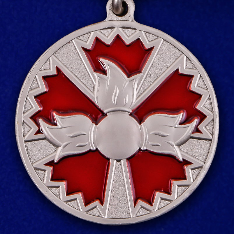 Медаль "За заслуги в специальной деятельности" МО РФ 