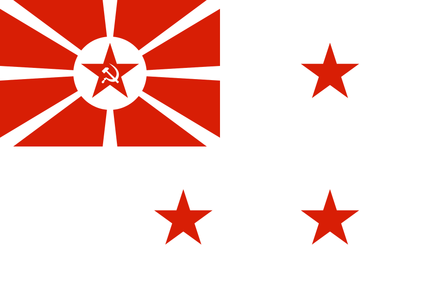 Флаг начальника Морских сил моря