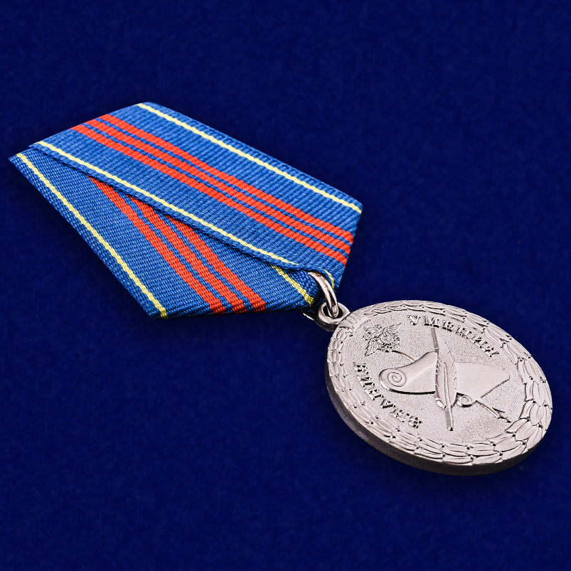 Медаль МВД "За заслуги в управленческой деятельности" (3 степень) 