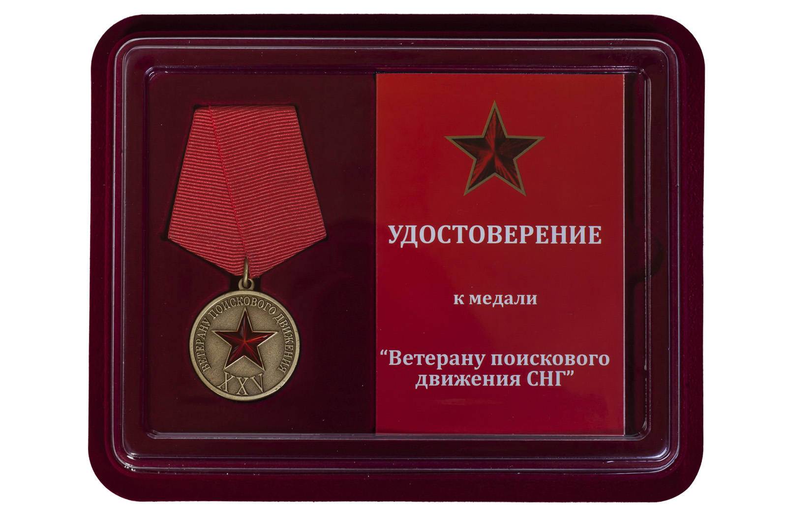 Медаль "Ветеран поискового движения СНГ" 