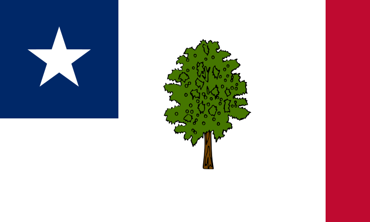 Флаг штата Миссисипи (1861—1865)