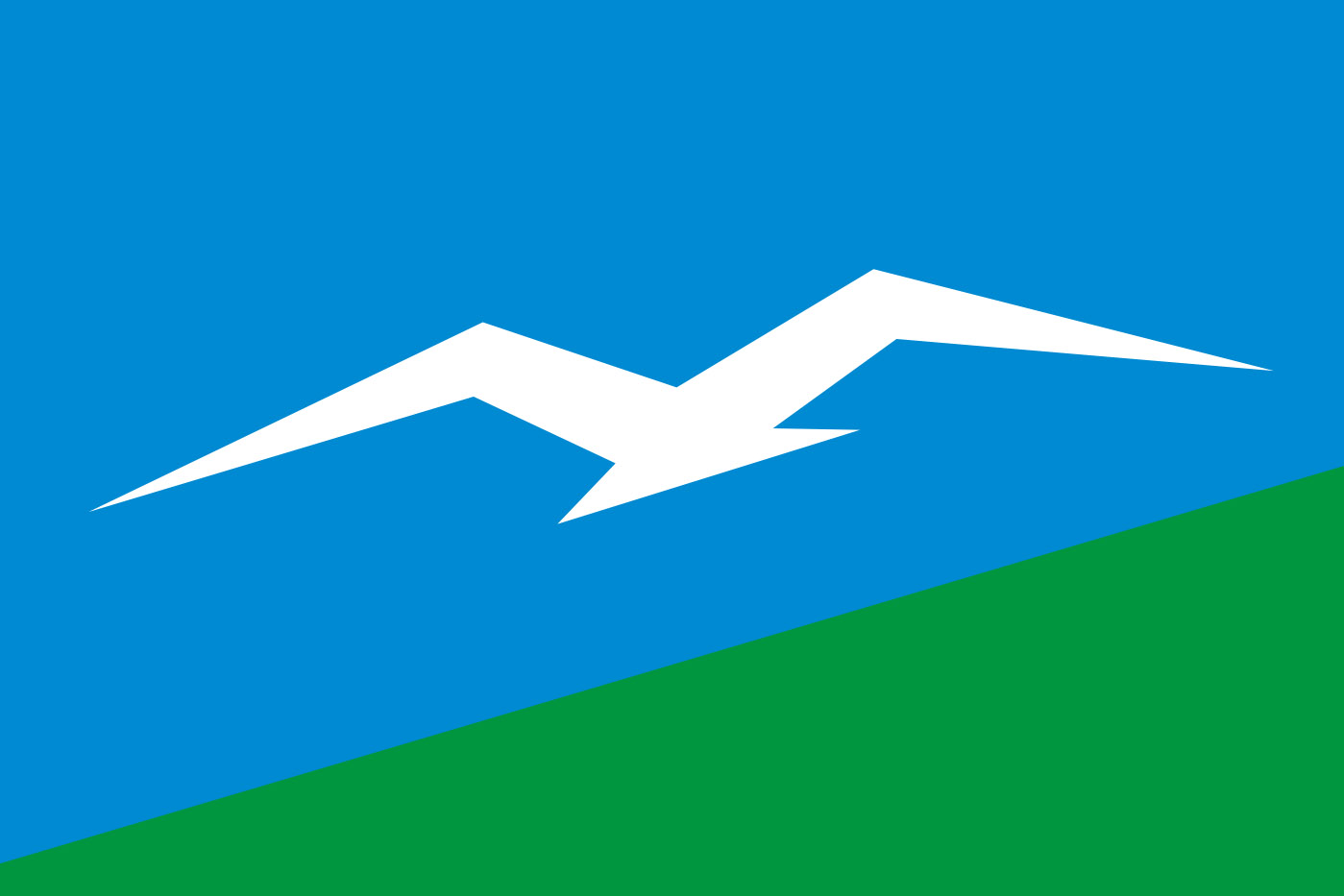 Флаг города Анива