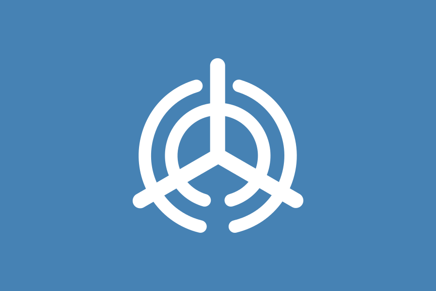 Флаг города Оита, Япония