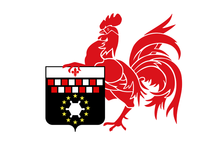 Флаг города Шарлеруа, Бельгия