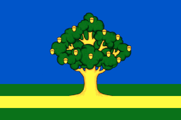 Флаг Ржавок