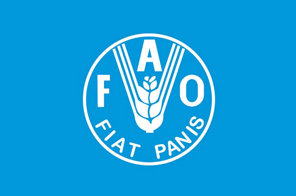 Флаг Всемирной продовольственной организации