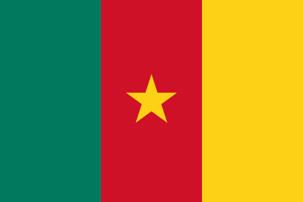 Флаг ВМС (военно-морские силы) Камеруна