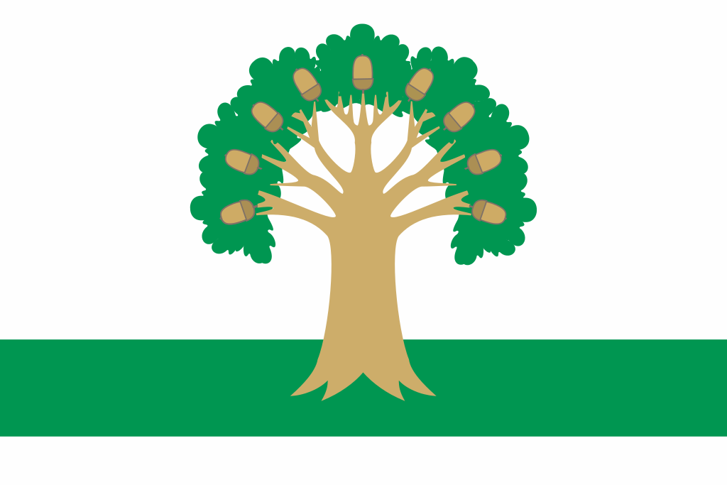 Флаг Архангельский район Республики Башкортостан