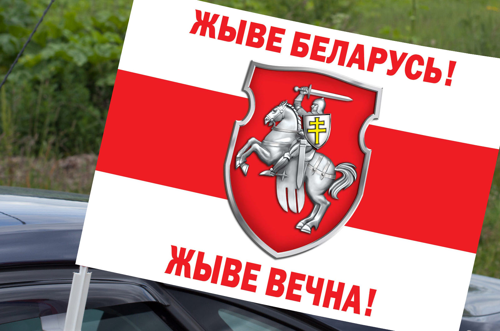 Жыве Беларусь флаг