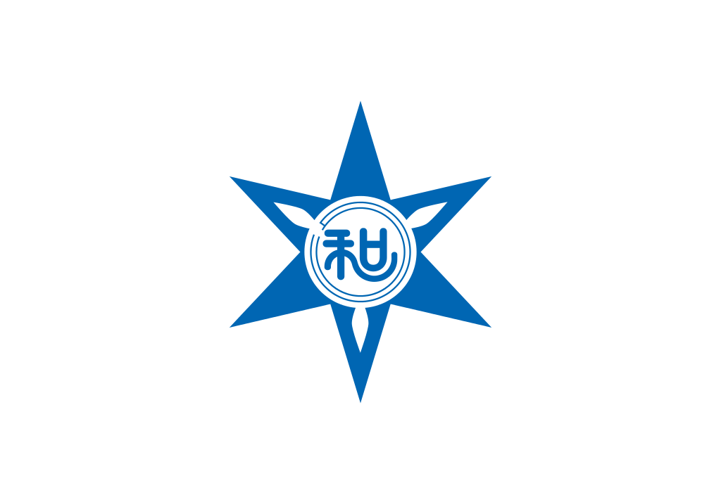 Флаг города Вакаяма, Япония