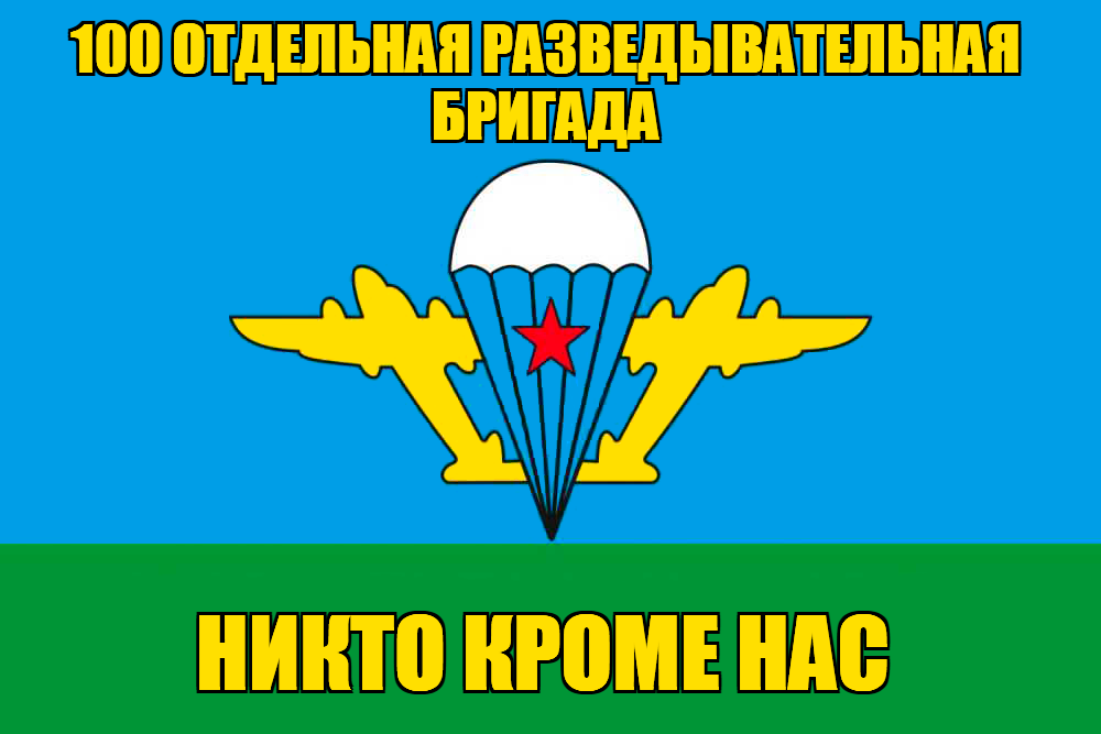 Флаг 100 Отдельная разведывательная бригада
