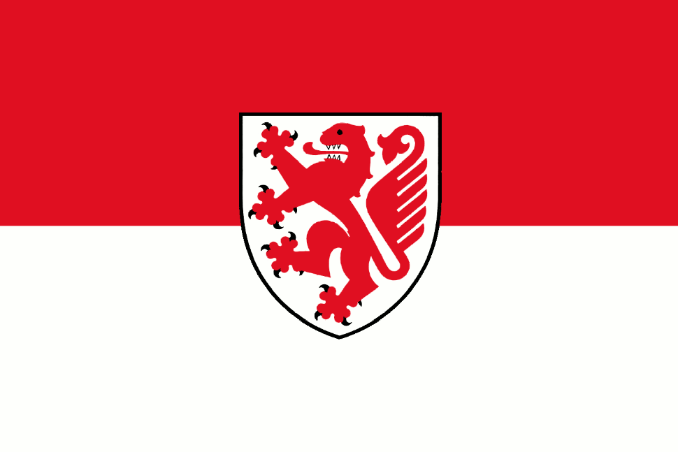 Флаг города Брауншвейг