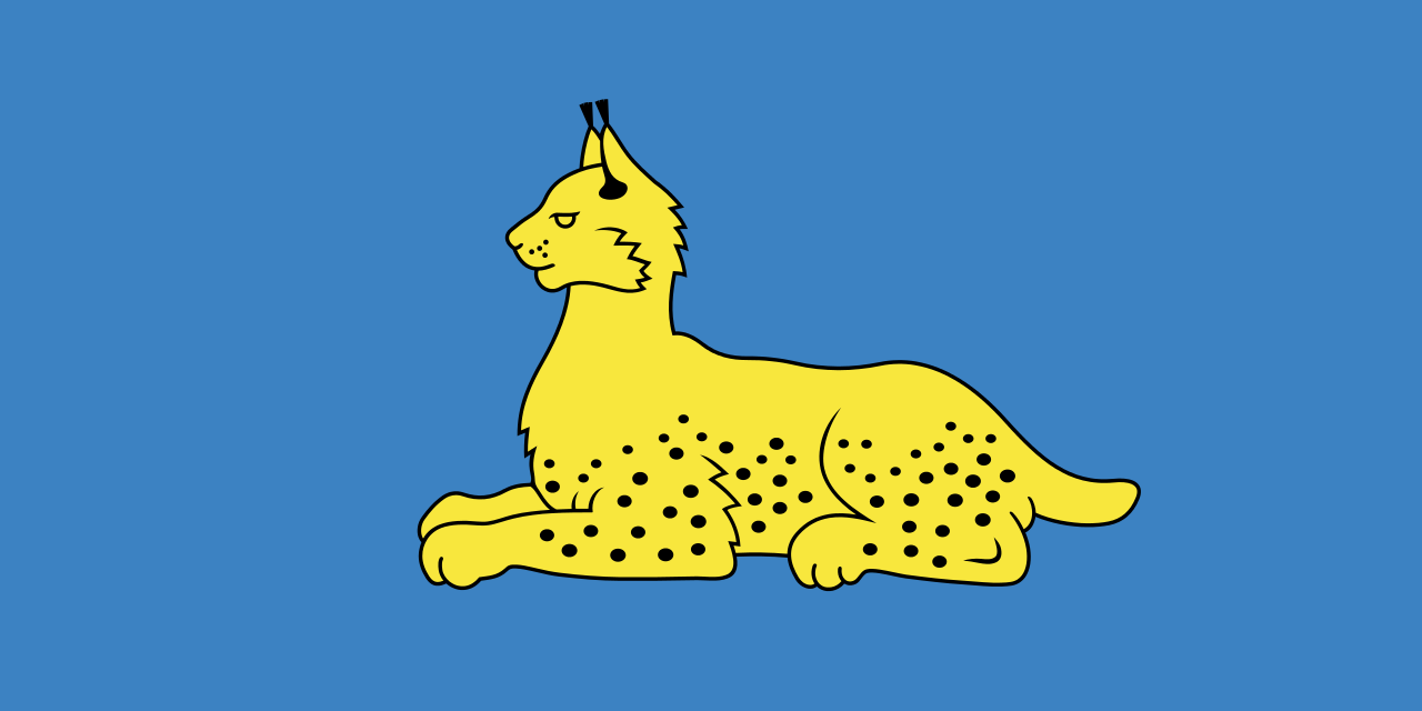 Флаг города Гомель, Белоруссия