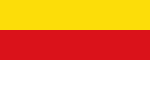 Флаг города Мюнстер