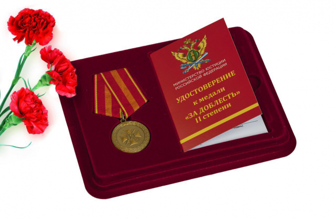 Медаль Министерства Юстиции РФ "За доблесть" 2 степени 