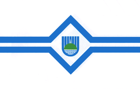 Флаг города Биробиджан
