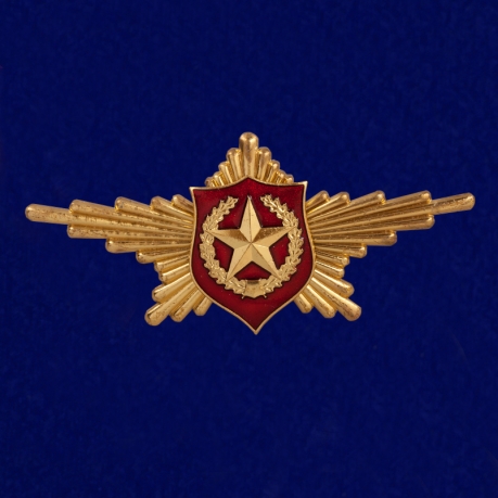 Знак Роты Почетного Караула (Общевойсковой) 
