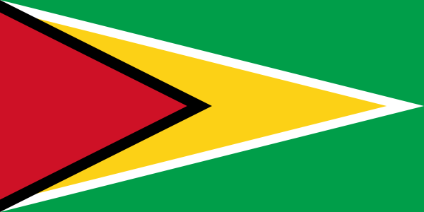 Флаг ВМС (военно-морские силы) Гайана
