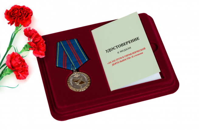 Медаль МВД РФ За управленческую деятельность 2 степени 