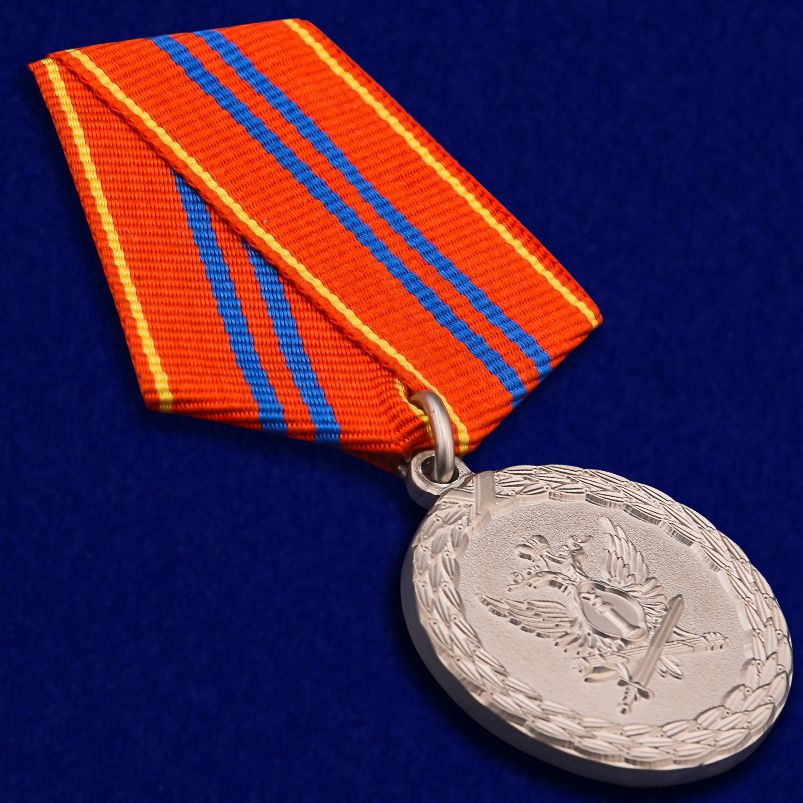 Ведомственная медаль Минюста "За службу" (2 степень) 