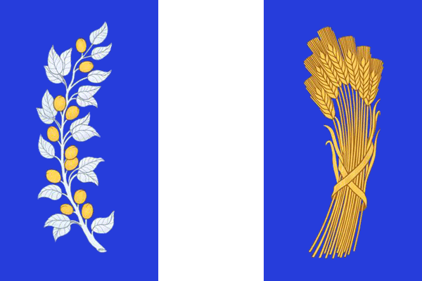 Флаг Бичурский район Республики Бурятия
