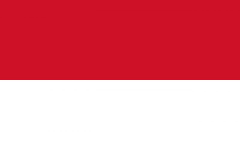 Флаг ВМС (военно-морские силы) Индонезии