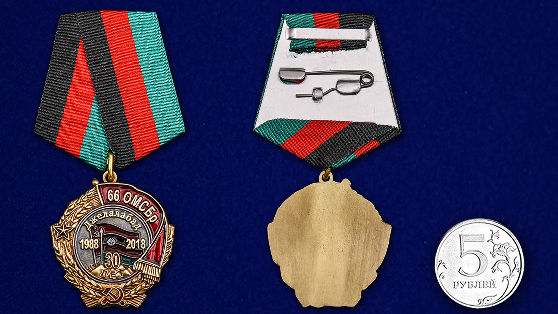 Медаль "30 лет вывода из Афганистана 66 ОМСБр" 