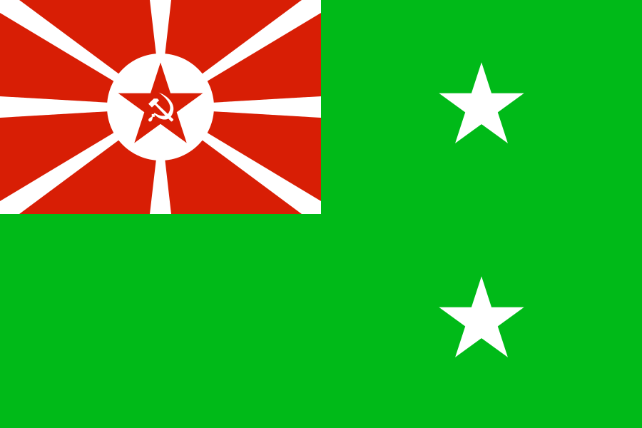 Флаг начальника Управления пограничной охраны