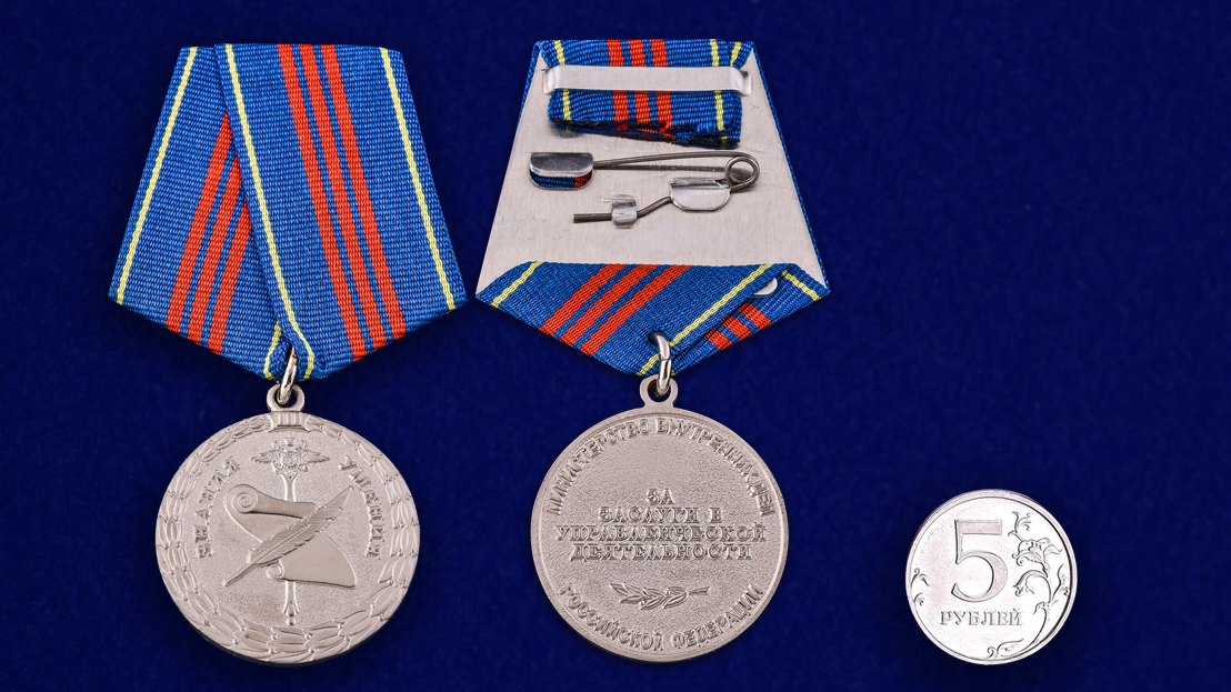 Медаль МВД РФ "За заслуги в управленческой деятельности" (3 степень) 